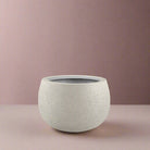 Luca Lifestyle Struttura Balloon Bowl Low - Acacia Garden Center