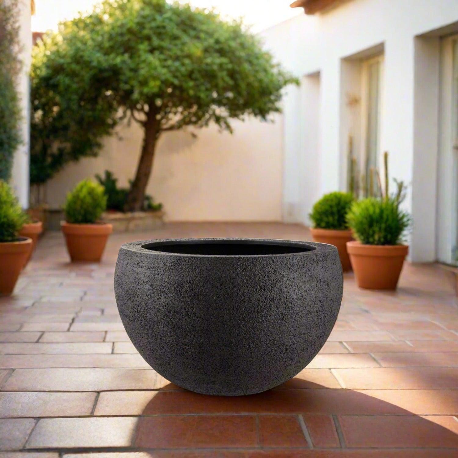 Luca Lifestyle Struttura Elena - Acacia Garden Center