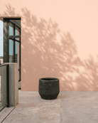 Maine | Mix Colors Pot - Lightweight, Heat - Tolerant - Acacia Garden Center