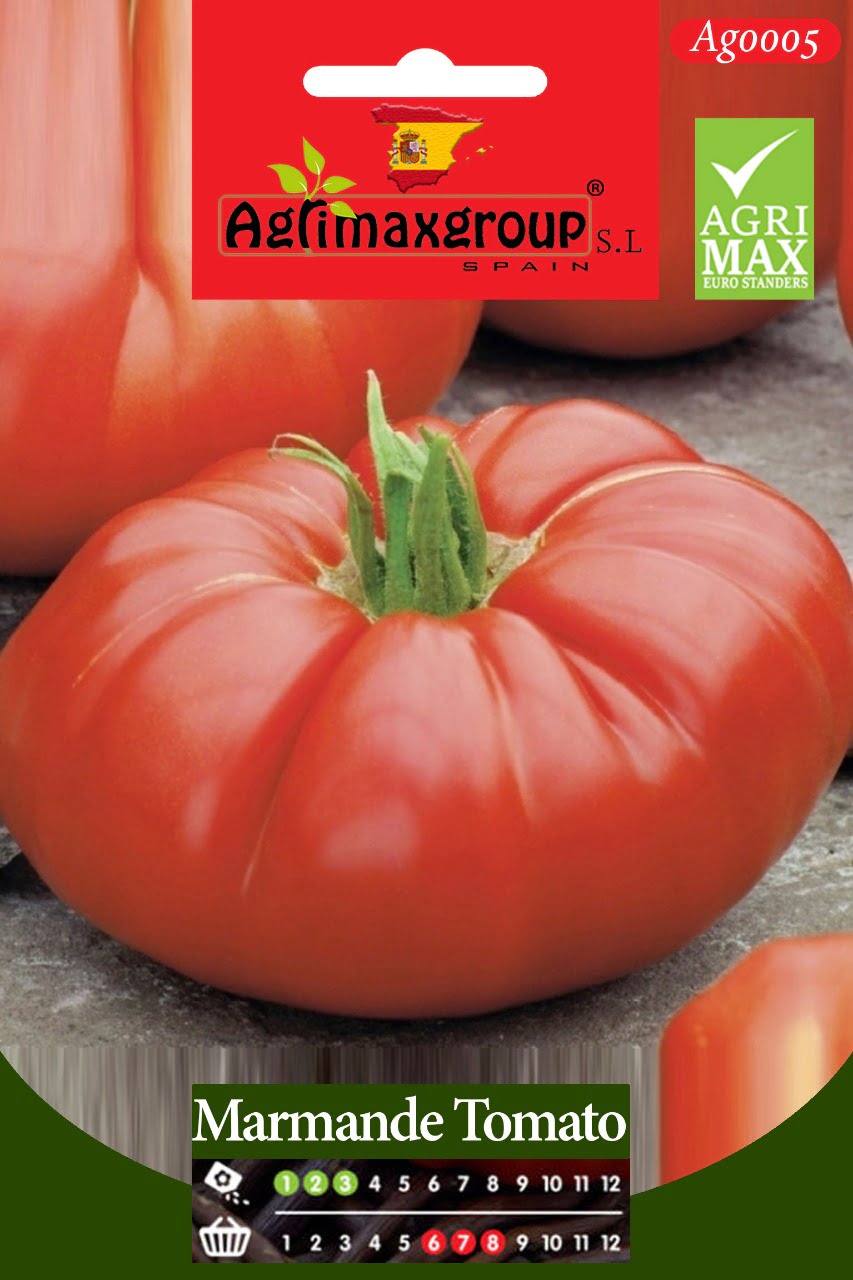 Marmande Tomato - Acacia Garden Center
