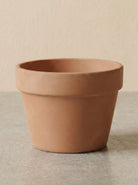 Mezzo Vaso (Azalea Pot) - Acacia Garden Center