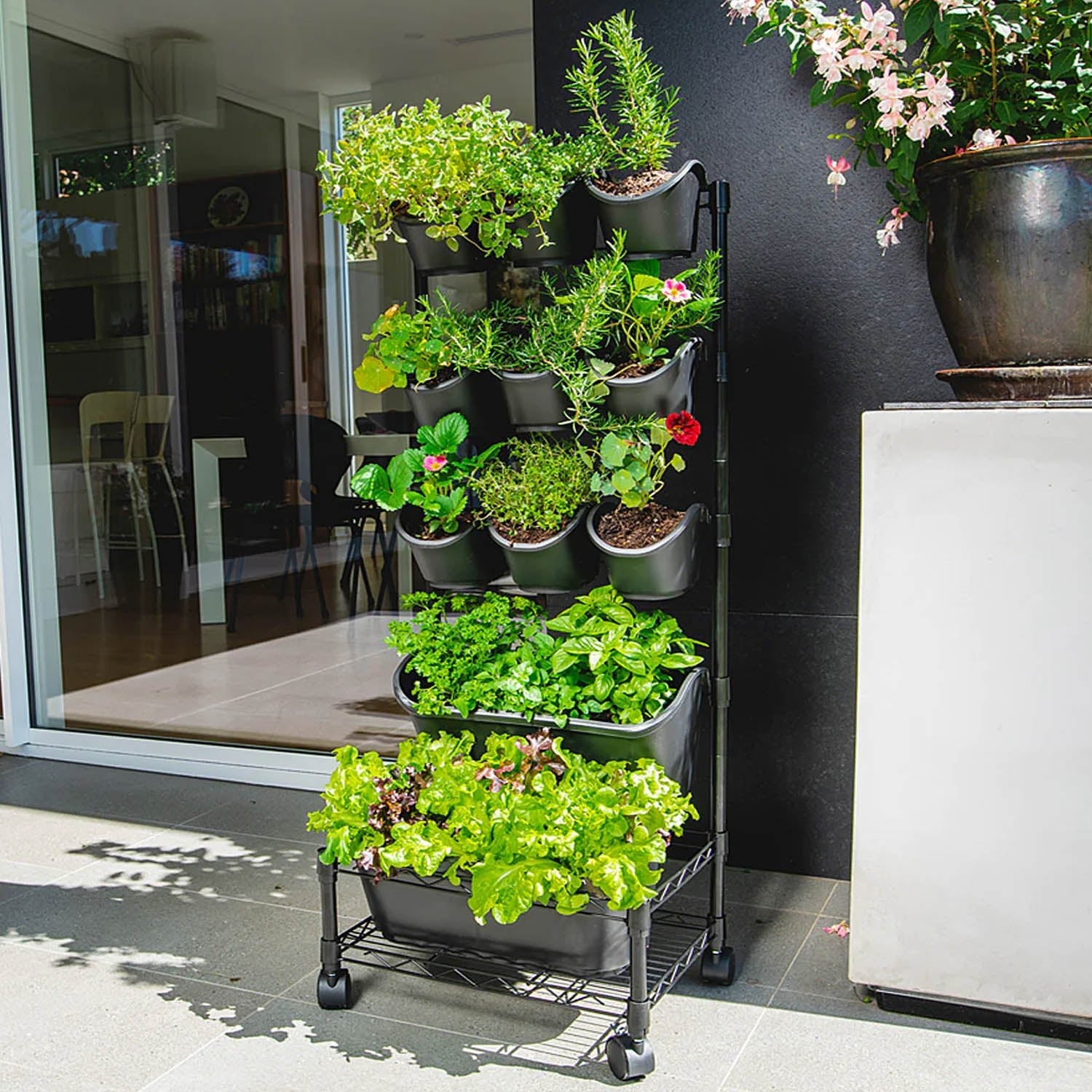 Mobile Greenwall - Acacia Garden Center