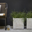 Nature Planter Square Rib | Ivory, 2 Sizes - Acacia Garden Center