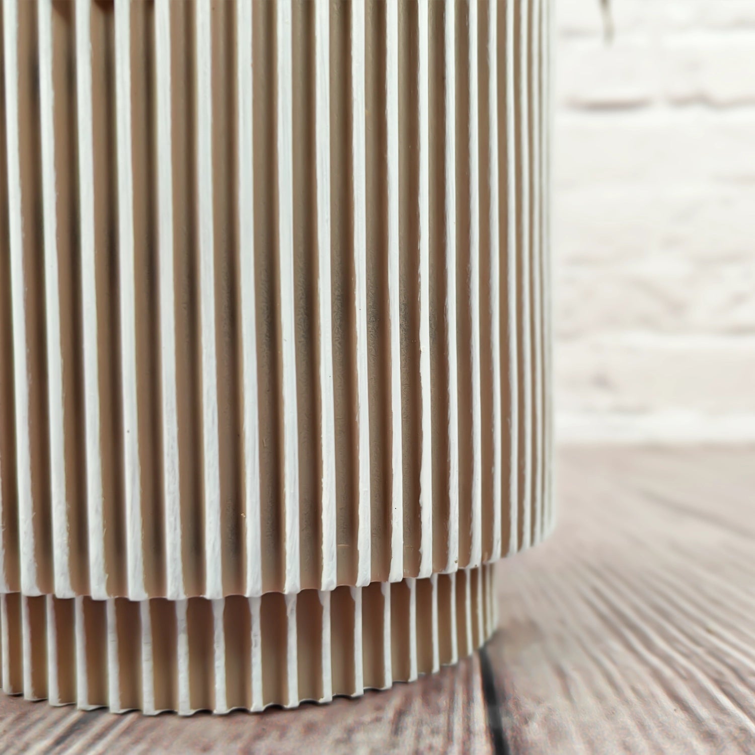 Nerve Plant (Fittonia albivenis) Mixed Colors | 10 - 15 cm - Acacia Garden Center