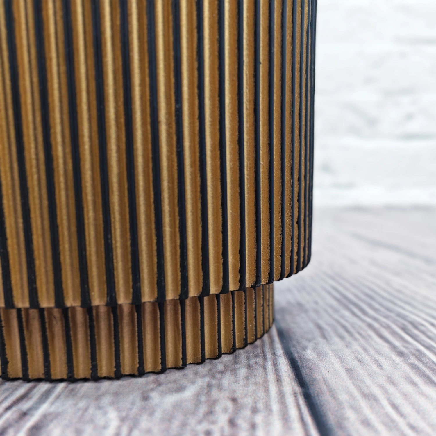 Nerve Plant (Fittonia albivenis) Mixed Colors | 10 - 15 cm - Acacia Garden Center