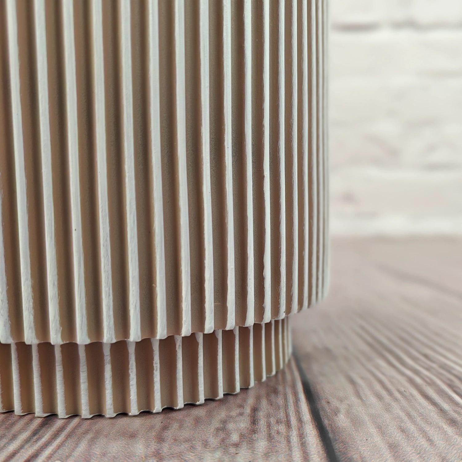 Nerve Plant (Fittonia albivenis) Mixed Colors | 10 - 15 cm - Acacia Garden Center