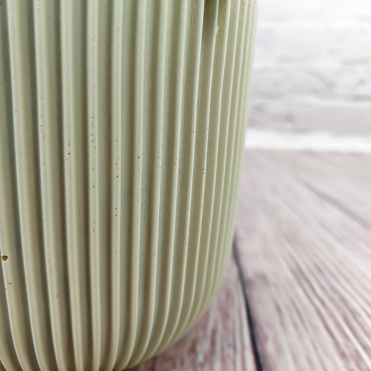 Nerve Plant (Fittonia albivenis) Mixed Colors | 10 - 15 cm - Acacia Garden Center