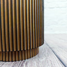 Nerve Plant (Fittonia albivenis) Mixed Colors | 10 - 15 cm - Acacia Garden Center