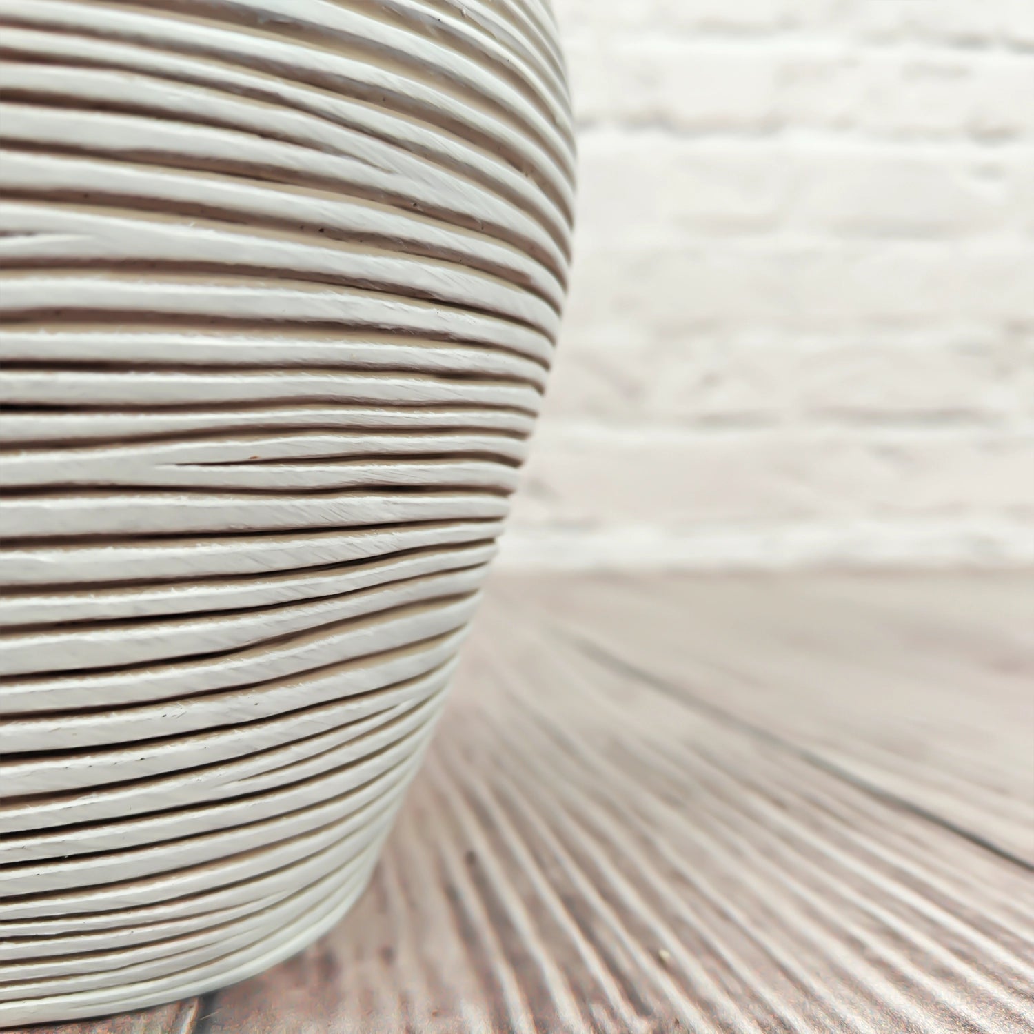 Nerve Plant (Fittonia albivenis) Mixed Colors | 10 - 15 cm - Acacia Garden Center