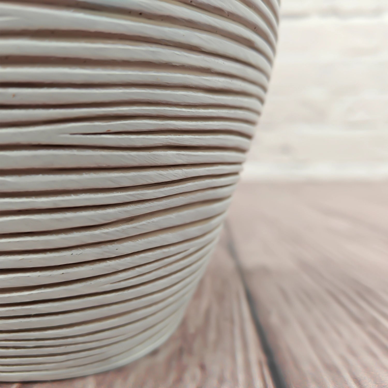 Nerve Plant (Fittonia albivenis) Mixed Colors | 10 - 15 cm - Acacia Garden Center