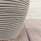 Nerve Plant (Fittonia albivenis) Mixed Colors | 10 - 15 cm - Acacia Garden Center