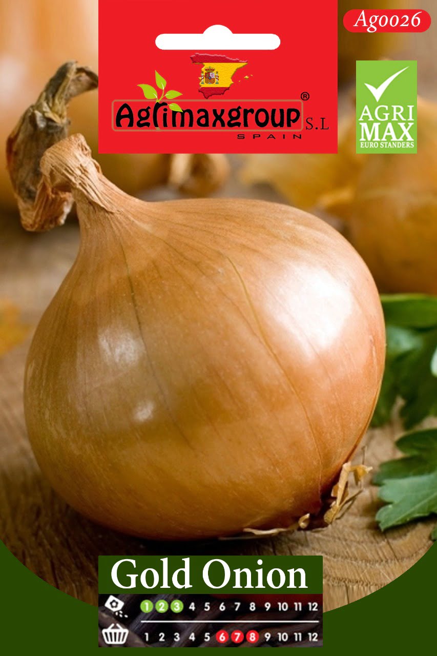 Onion - Acacia Garden Center