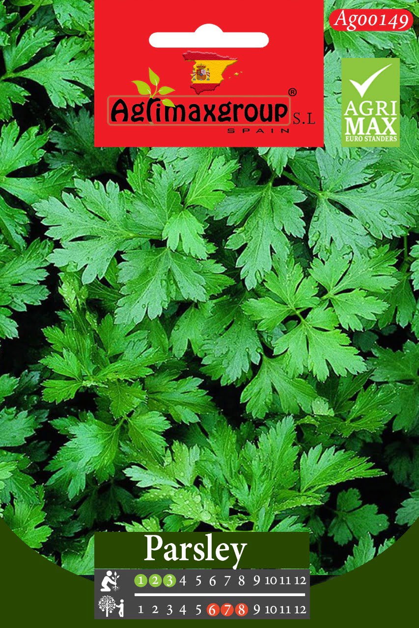 Parsley - Acacia Garden Center
