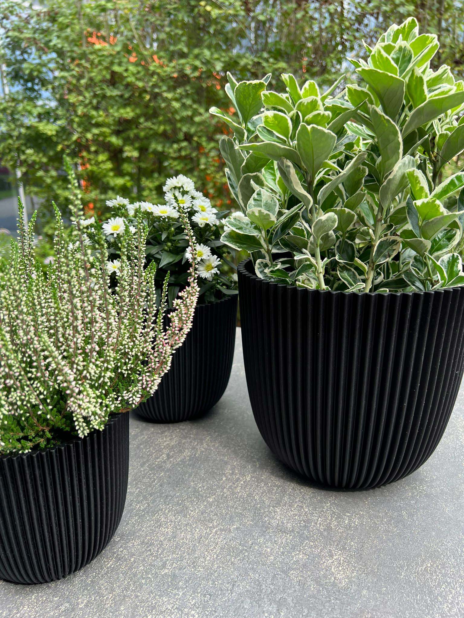 Planter Ball Groove - Acacia Garden Center