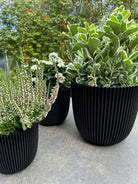 Planter Ball Groove - Acacia Garden Center