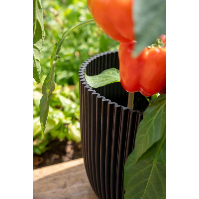 Planter Ball Groove - Acacia Garden Center