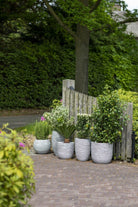 Planter Ball Rib NL - Acacia Garden Center