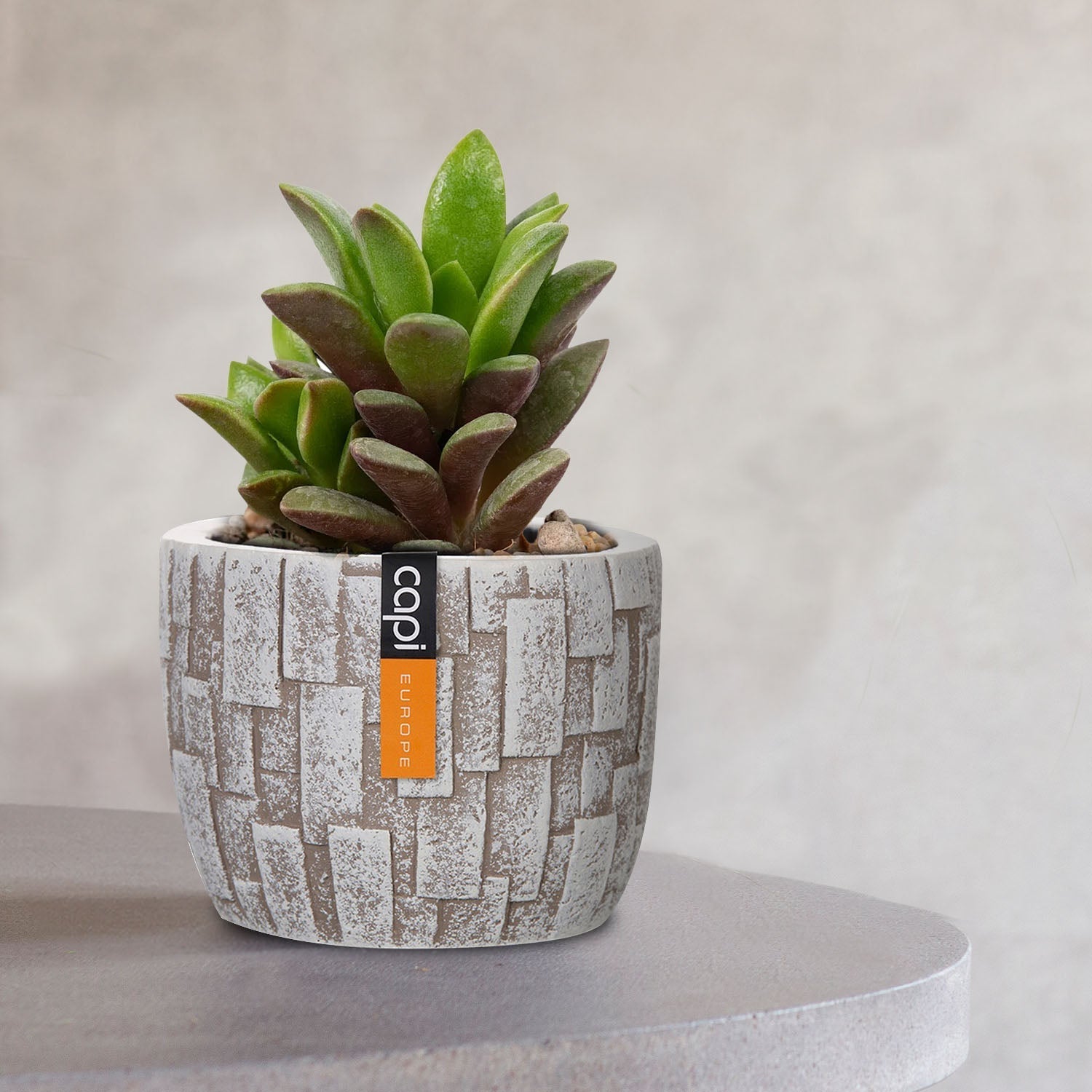 Planter Ball Stone - BSTI / BSTZ 139 - Acacia Garden Center