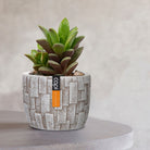 Planter Ball Stone - BSTI / BSTZ 139 - Acacia Garden Center