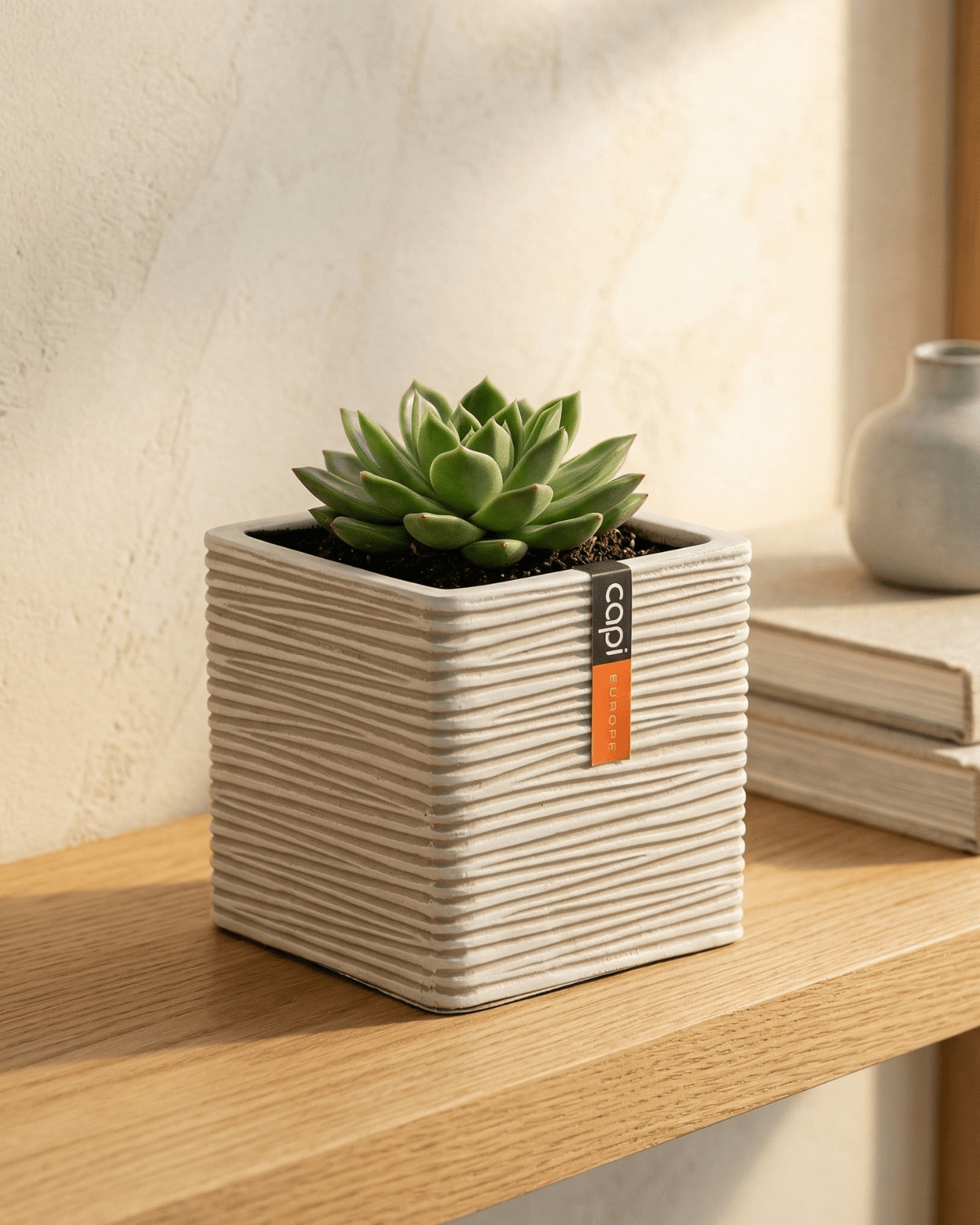 Planter Square BOFI 209 | Ivory - Acacia Garden Center