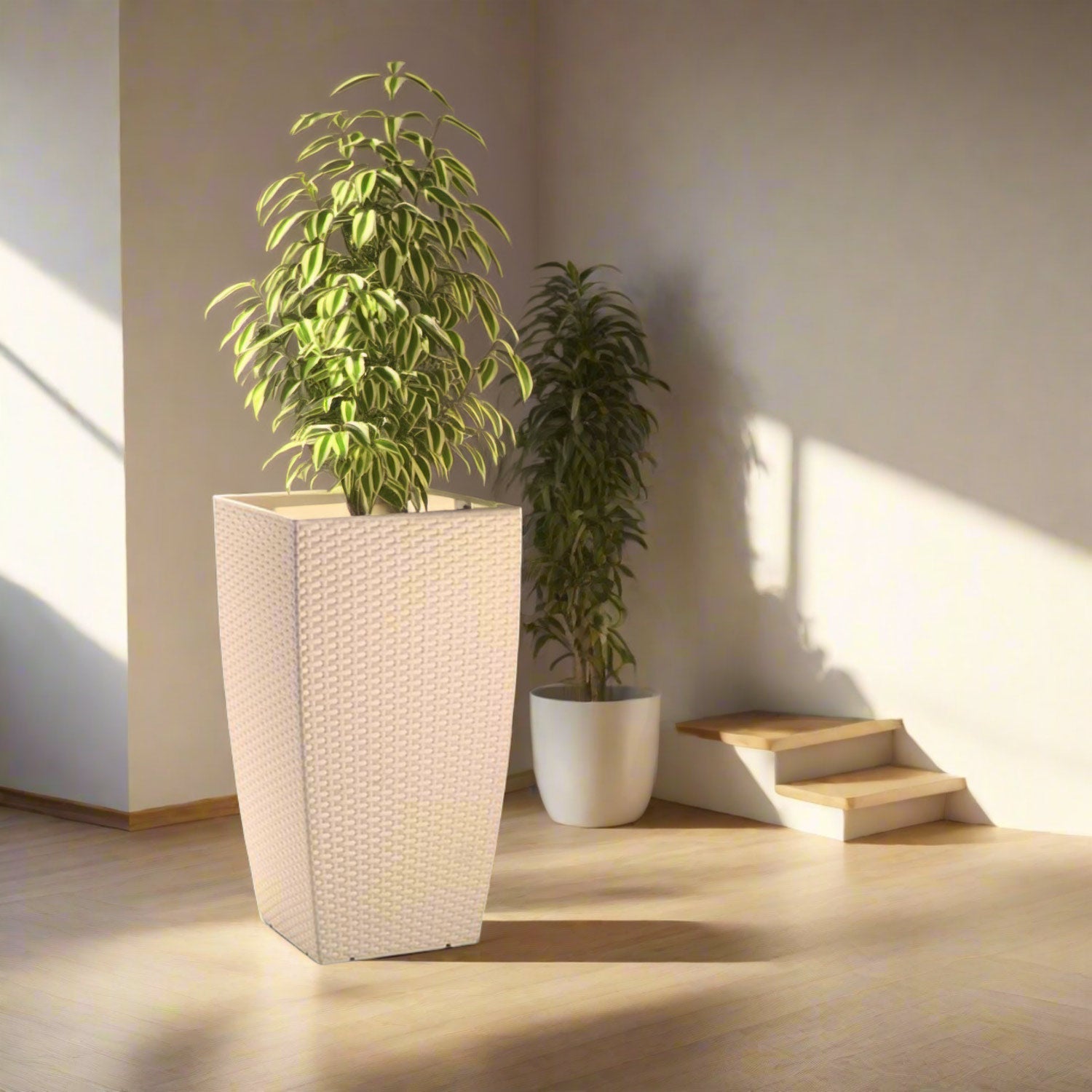 Plastona Self - Watering Planter (Natura) | Beige, 36 × 36 × 66 cm - Acacia Garden Center