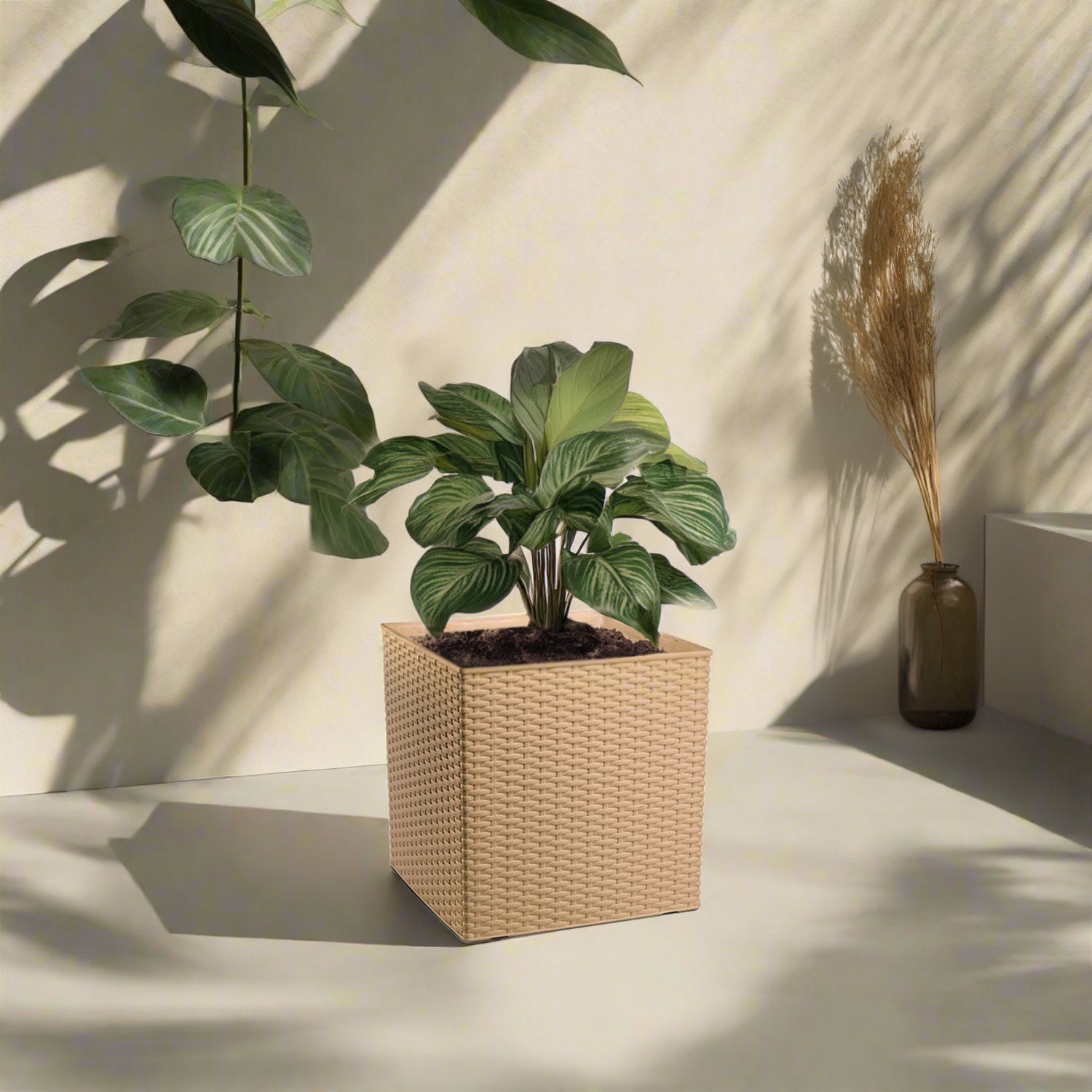 Plastona Self - Watering Planter (Natura) | Desert Sand, 36 × 36 × 36 cm - Acacia Garden Center