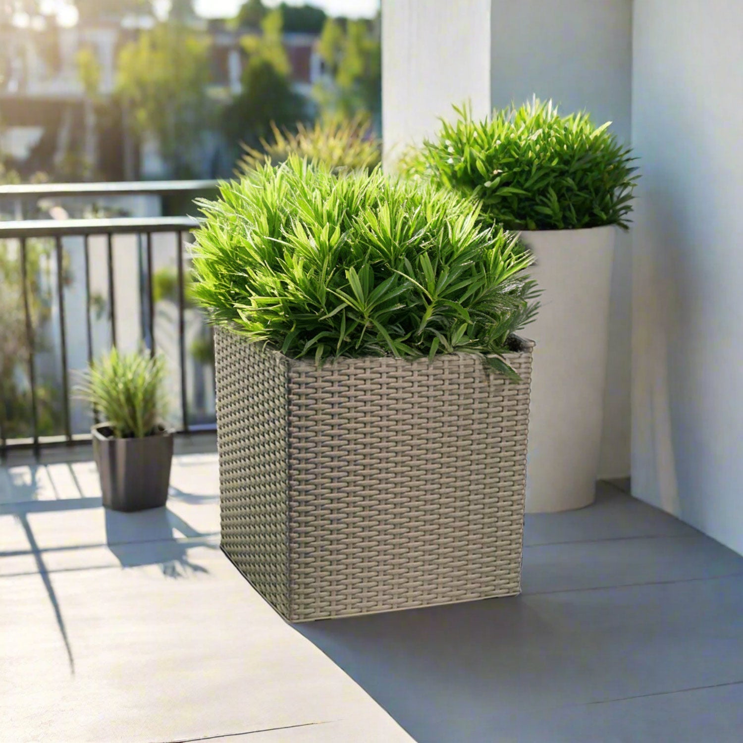 Plastona Self - Watering Planter (Natura) | Spicy Brown, 36 × 36 × 33 cm - Acacia Garden Center