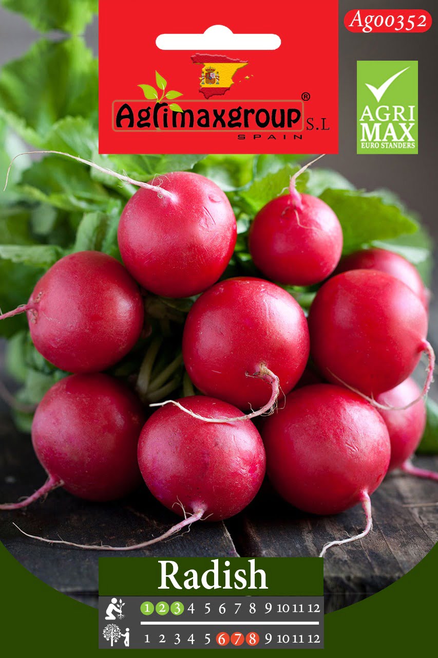 Radish - Acacia Garden Center