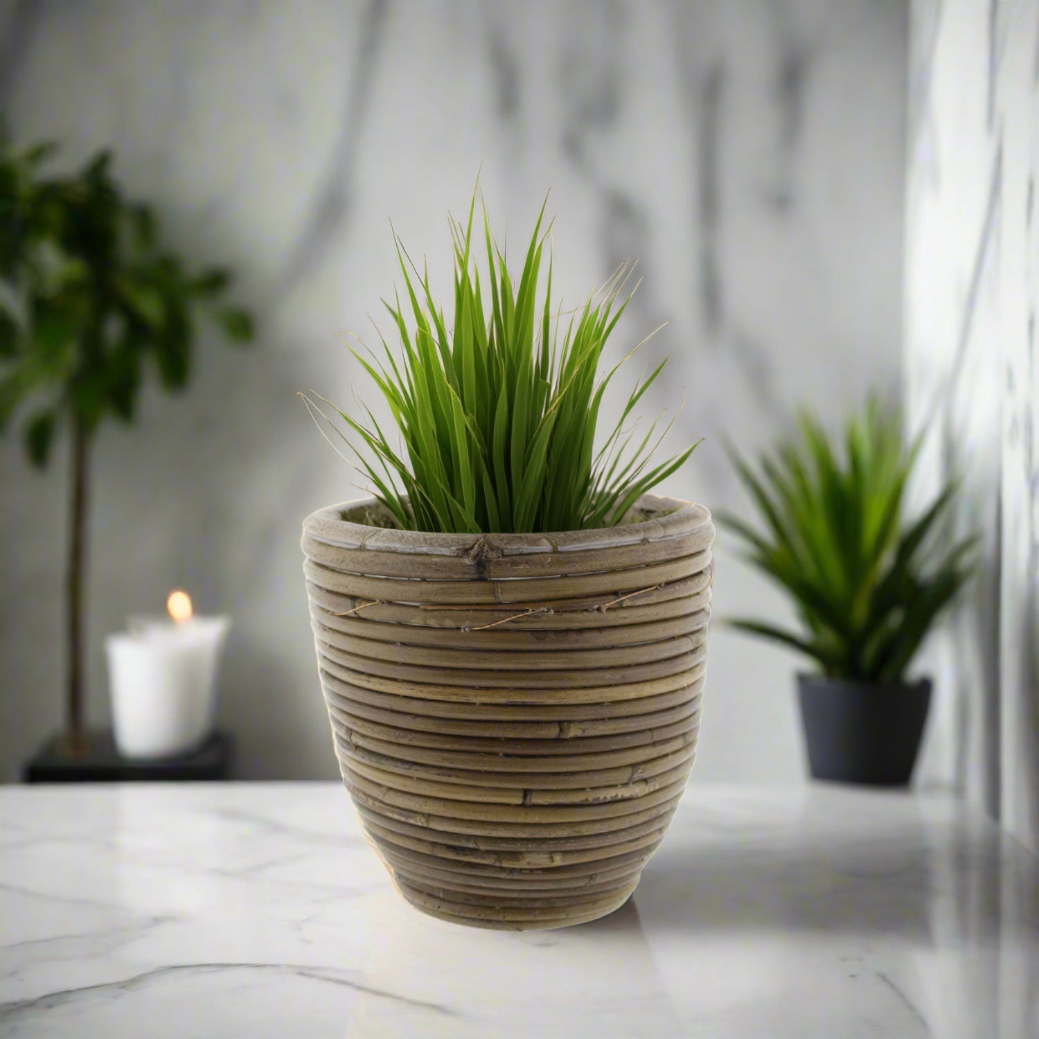 Round Balloon Pot (300857) | Natural, D18 × 16 cm - Acacia Garden Center