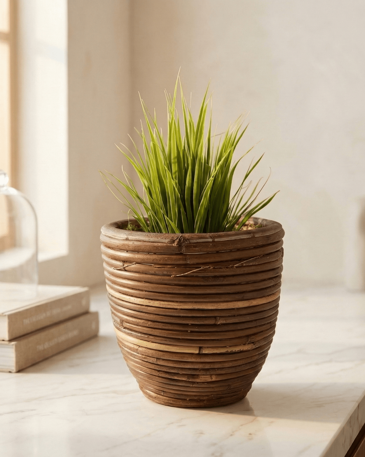 Round Balloon Pot (300857) | Natural, D18 × 16 cm - Acacia Garden Center