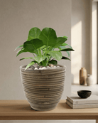 Round Balloon Pot (301975) | Natural, D24 × 24 cm - Acacia Garden Center