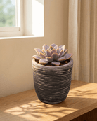 Round Balloon Pot (302196) | Black Wash, D13 × 11 cm - Acacia Garden Center