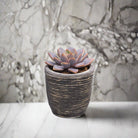 Round Balloon Pot (302196) | Black Wash, D13 × 11 cm - Acacia Garden Center