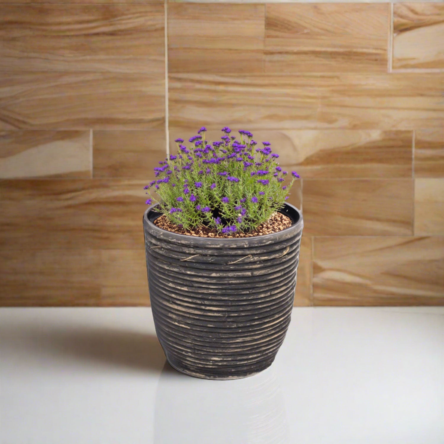 Round Balloon Pot (302197) | Black Wash, D15 × 14 cm - Acacia Garden Center