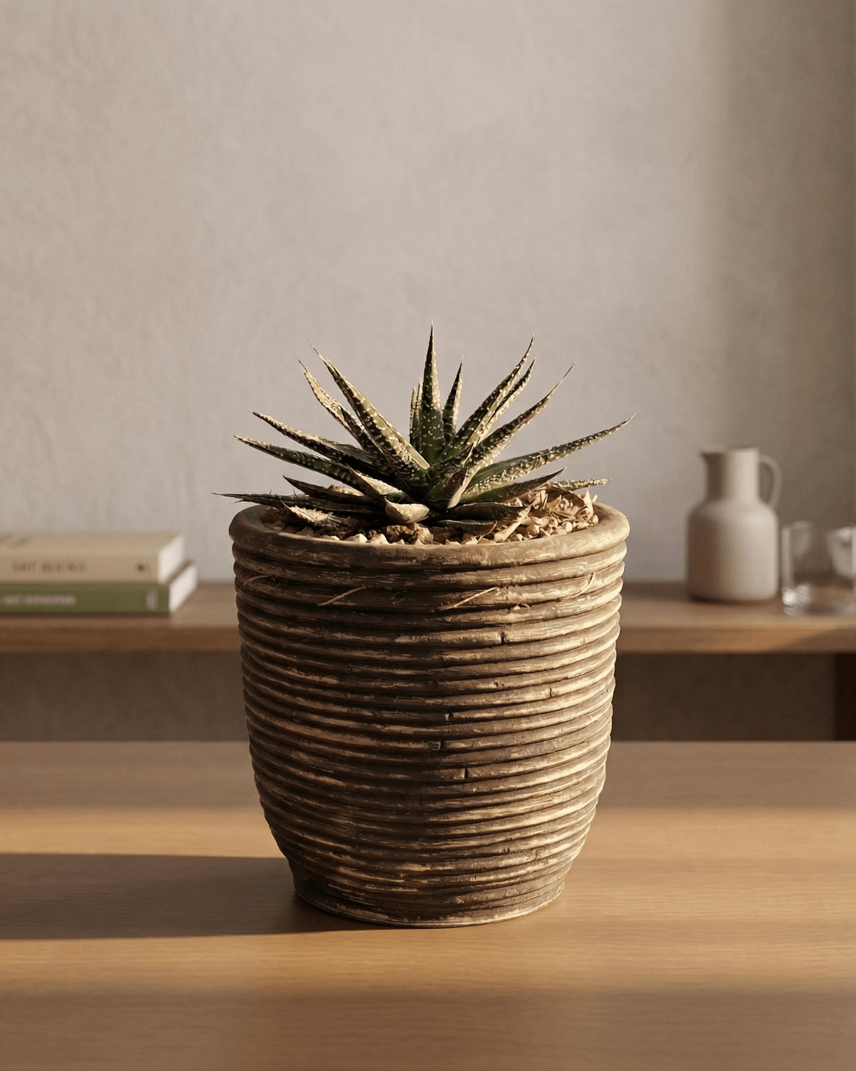 Round Balloon Pot (302198) | Black Wash, D18 × 16 cm - Acacia Garden Center