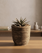 Round Balloon Pot (302198) | Black Wash, D18 × 16 cm - Acacia Garden Center