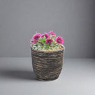 Round Balloon Pot (302200) | Black Wash, D24 × 24 cm - Acacia Garden Center