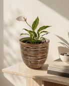 Round Balloon Pot (304566) | Bronze, D20 × 19 cm - Acacia Garden Center