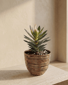 Round Balloon Pot (304567) | Bronze, D24 × 24 cm - Acacia Garden Center