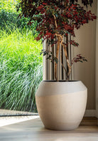 Ruvido Combi | Sand (Beige) - Acacia Garden Center