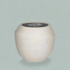 Ruvido Combi | Sand (Beige) - Acacia Garden Center