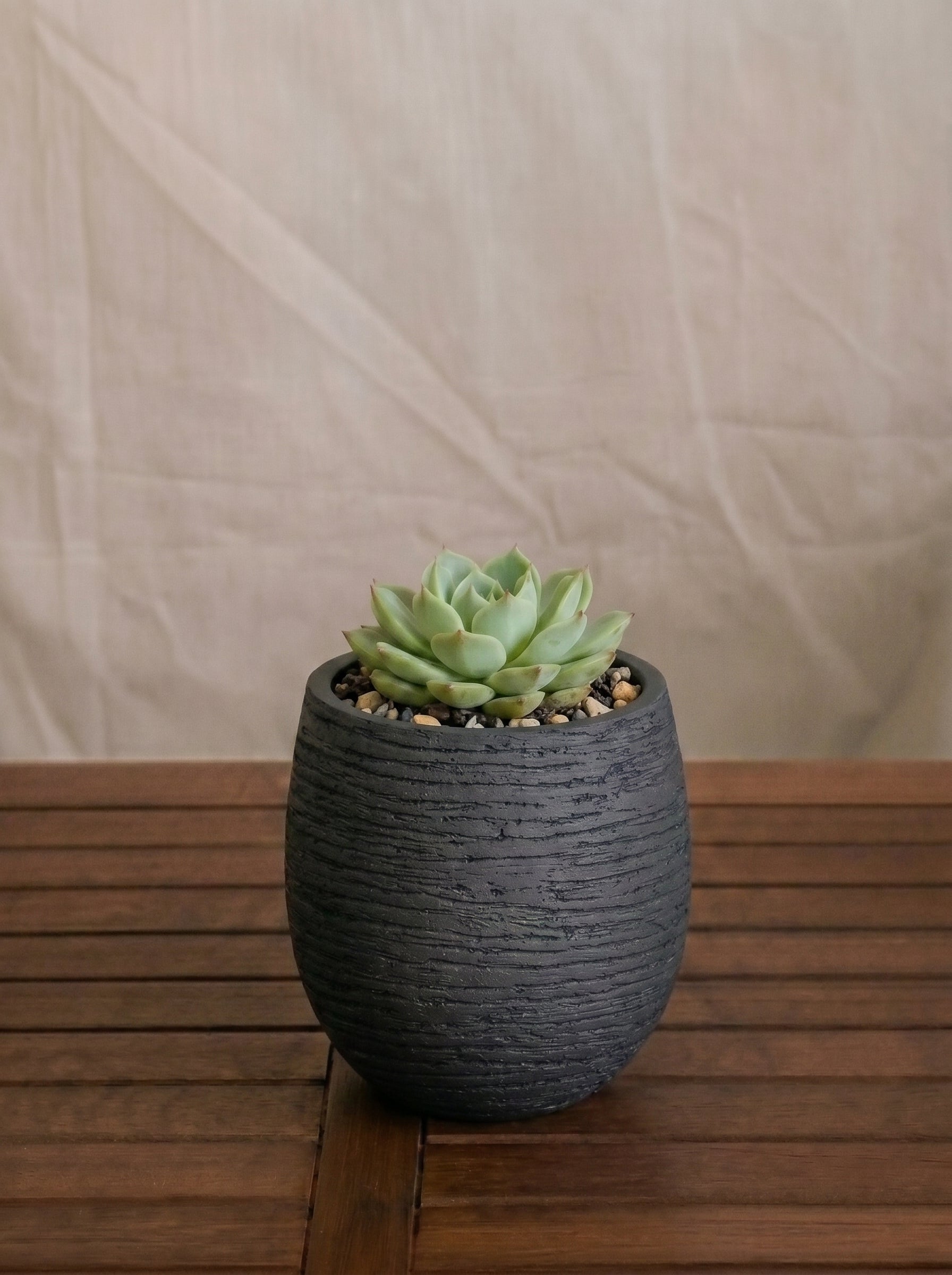 Ruvido Mini Balloon Planter | Sphere, 8 cm - Acacia Garden Center