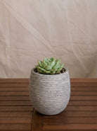 Ruvido Mini Balloon Planter | Sphere, 8 cm - Acacia Garden Center