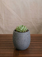 Ruvido Mini Balloon Planter | Sphere, 8 cm - Acacia Garden Center