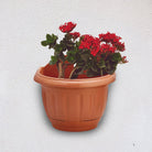Semicircular Wall Flowerpot KD8006 16x12x14cm, Terracotta Color - Acacia Garden Center