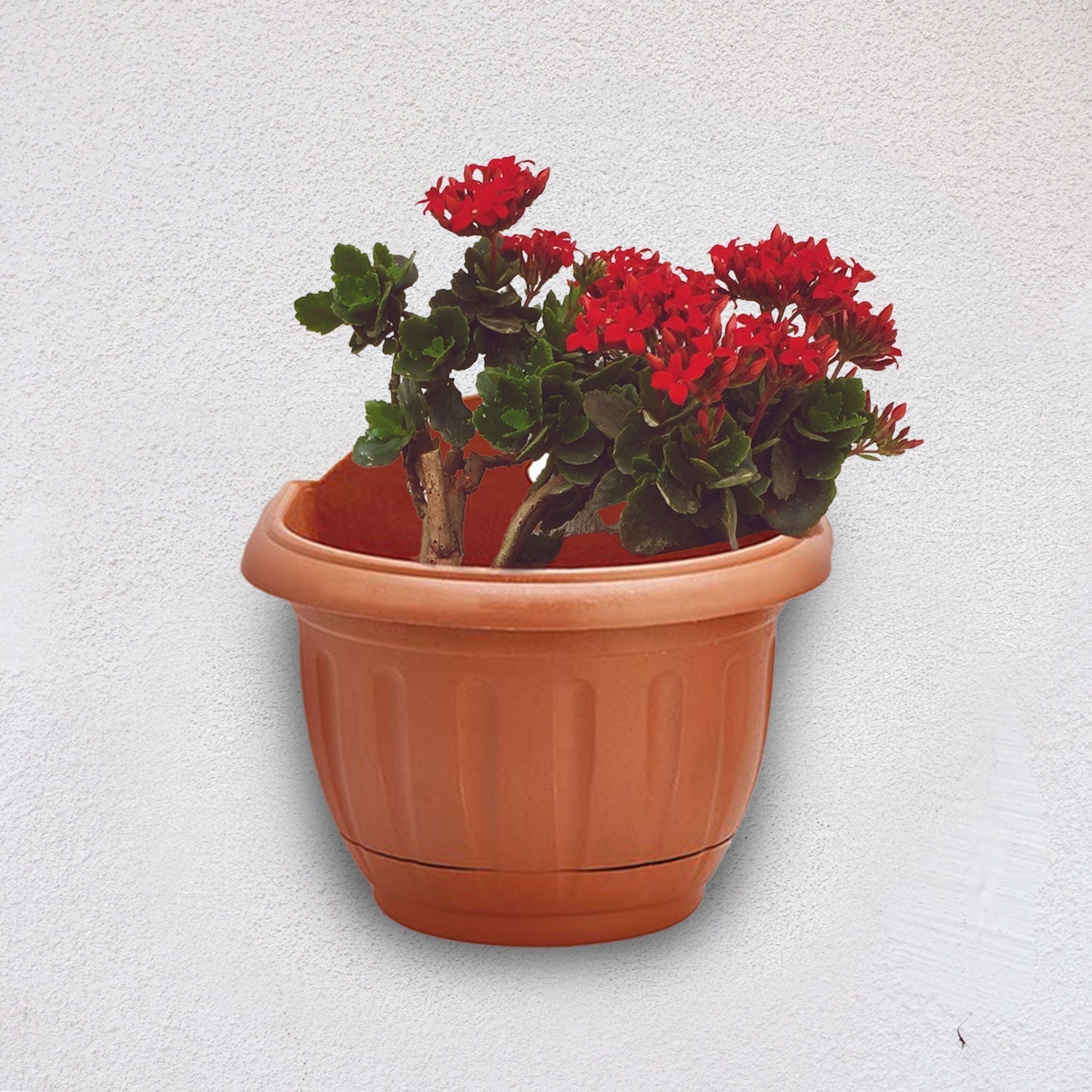 Semicircular Wall Flowerpot KD8006 16x12x14cm, Terracotta Color - Acacia Garden Center