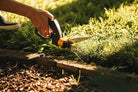 Servo - boosted Grass Shear - (113680) - Acacia Garden Center