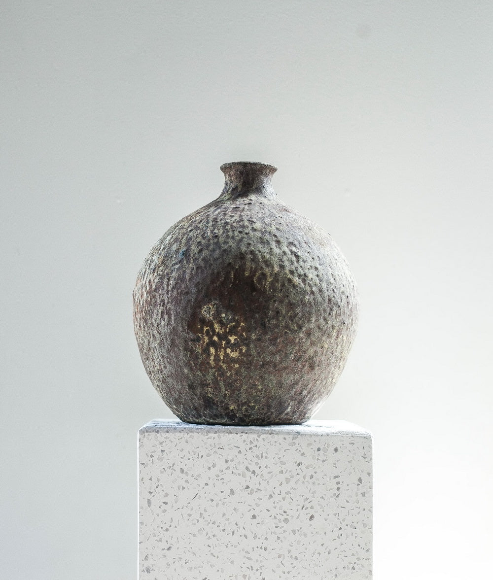 Silver Bladder Pot | 23 cm - Acacia Garden Center