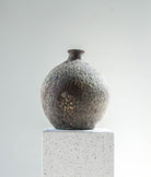 Silver Bladder Pot | 23 cm - Acacia Garden Center