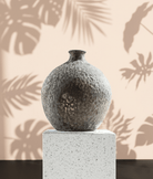 Silver Bladder Pot | 23 cm - Acacia Garden Center
